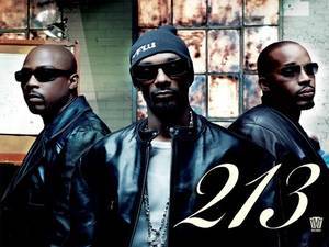 213 The Hard Way 2枚組レコード 213 / The Hard Way 2LP US Original