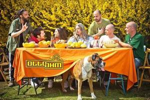 otto ohm