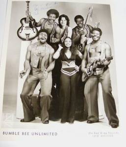 Bumblebee Unlimited Sting Like A Bee Vinyl Records and CDs