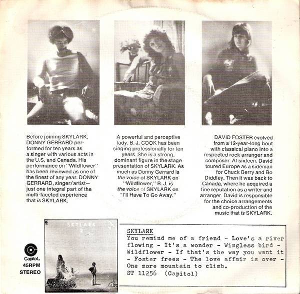 Skylark Wildflower Vinyl Records and CDs For Sale MusicStack