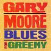 Gary Moore - Blues For Greeny