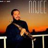 Najee - Day By Day