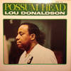 Possum Head