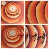 Stevie Wonder - Songs In The Key Of Life - Terre Haute Press