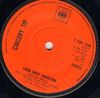 CHICORY TIP - Good Grief Christina Album