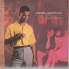 Mr Solitaire - Animal Nightlife