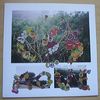 CSS - Move LP