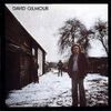 David Gilmour - David Gilmour Record