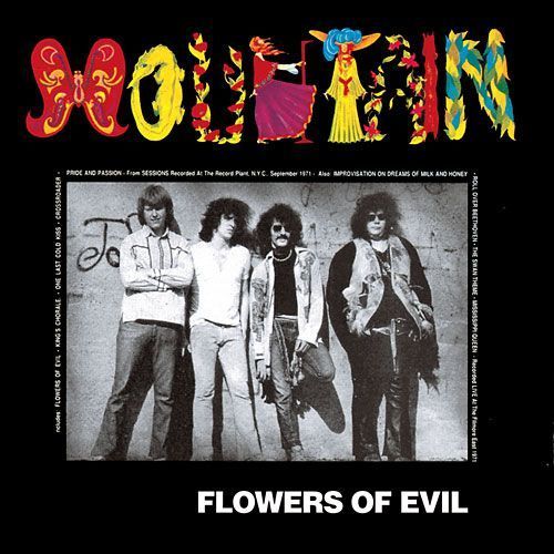 Mountain Flowers Of Evil Vinyl Records and CDs For Sale MusicStack