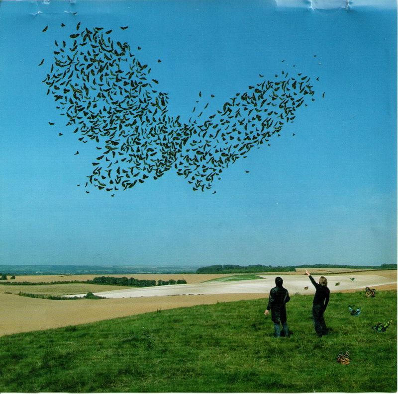 Muse Butterflies And Hurricanes Vinyl Records and CDs For Sale MusicStack