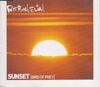 Fatboy Slim - Sunset (bird Of Prey) Album