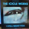Icicle Works - I Still Want You Record