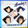 Academy - You Are In My System