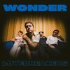 Wonder Of Love