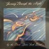 Journey Through The Night - DISCO SPACE FUNK BAND