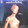 Music From The Body