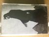 In Spades - Afghan Whigs