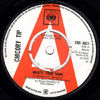 CHICORY TIP - What's Your Name / Memory - A Label Promo