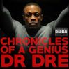 Dr. Dre The Chronic Vinyl Records and CDs For Sale ...