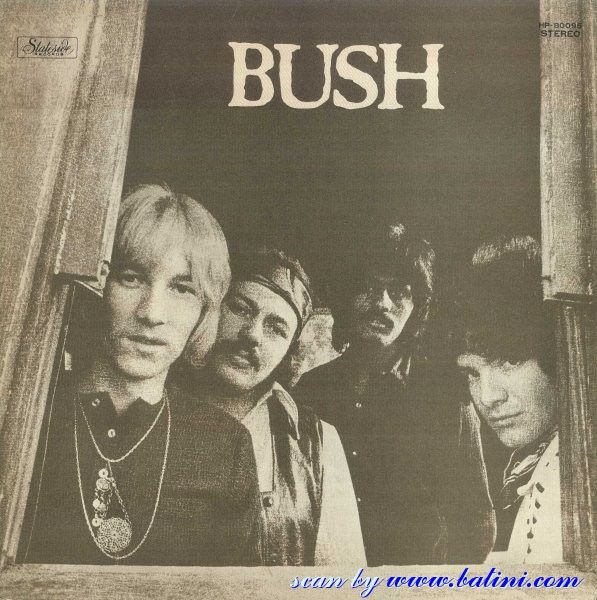 Bush Bush Vinyl Records and CDs For Sale MusicStack