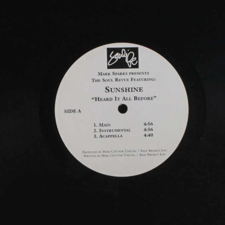 Sunshine Anderson Heard It All Before Remix