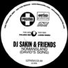 Dj Sakin & Friends - Nomansland ( David's Song )