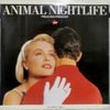 Animal Nightlife - Preacher Preacher