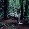 CSS - Donkey Album